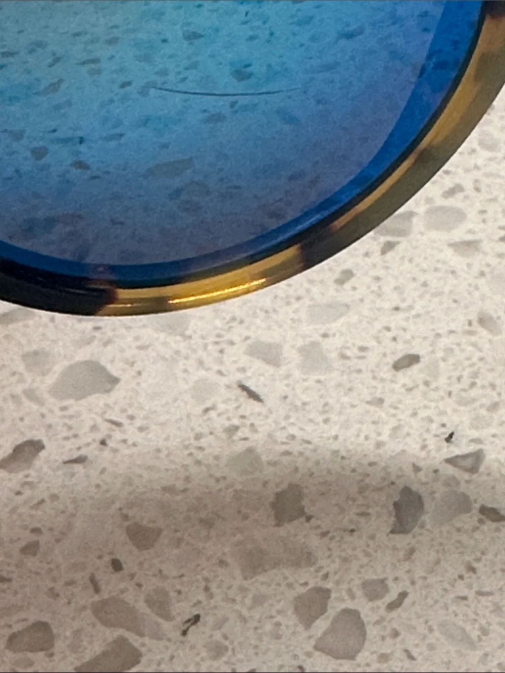Illesteva leonard tortoise sunglasses blue lens